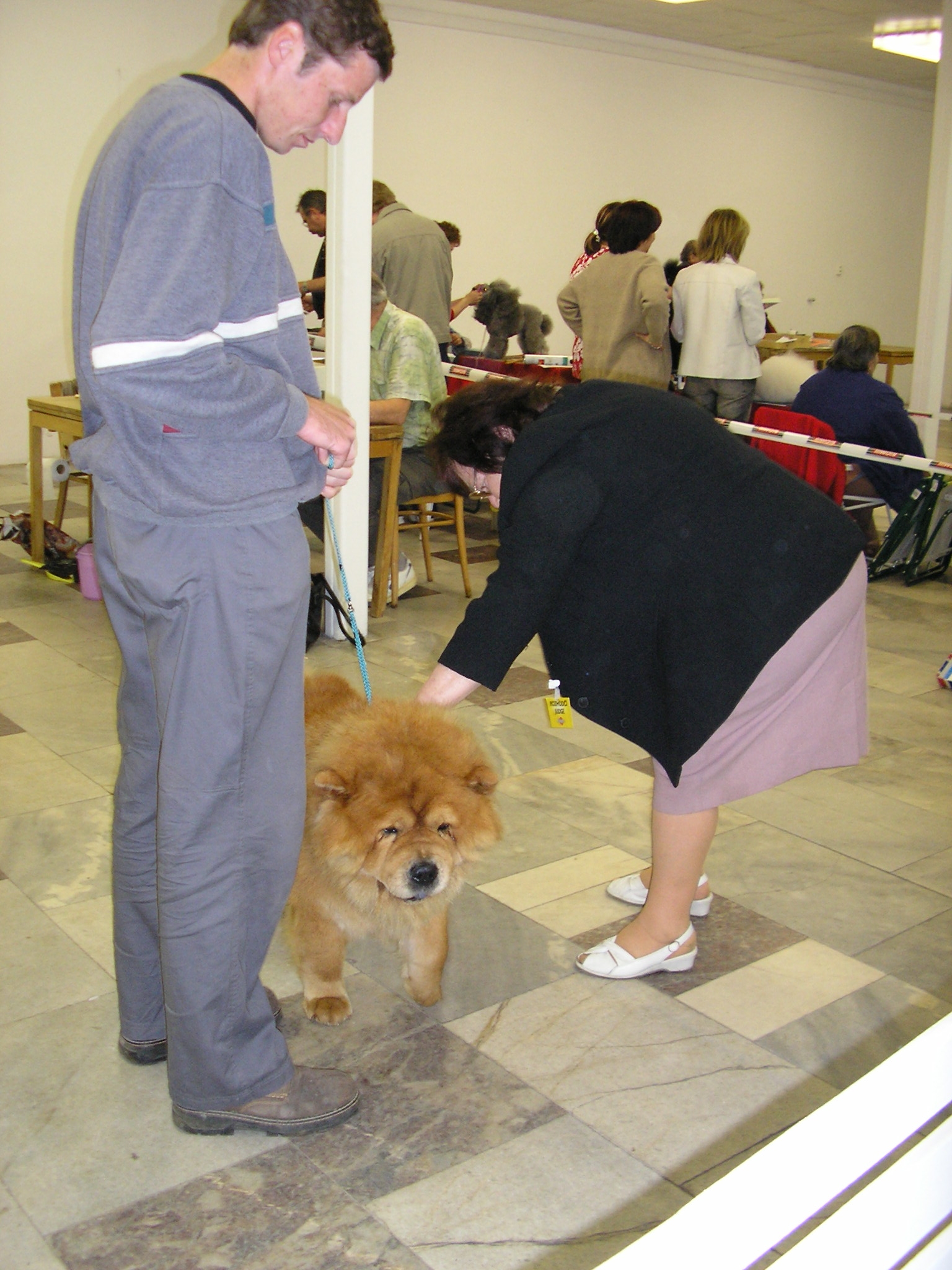 Mezinárodní výstava Litoměřice   22.5.2005