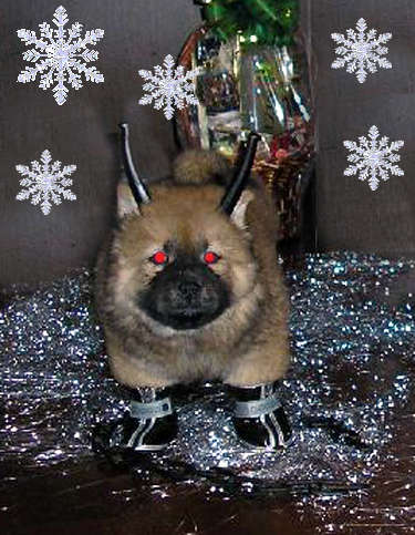 to koukáte, jaký mám čertovský růžky