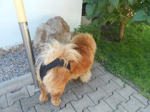 dscn2885.jpg