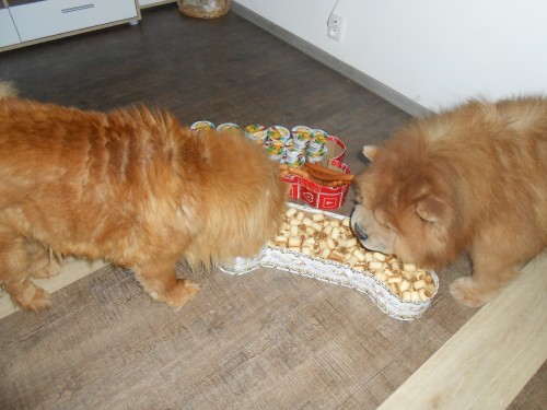 dscn3136.jpg