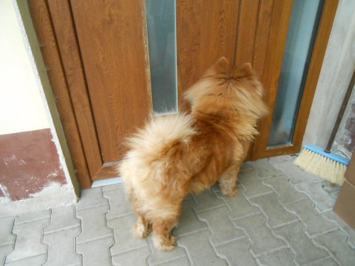 dscn3160.jpg