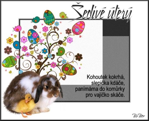 sedive-utery.jpg