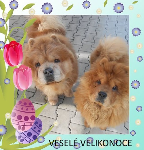 vesele-velikonoce.jpg