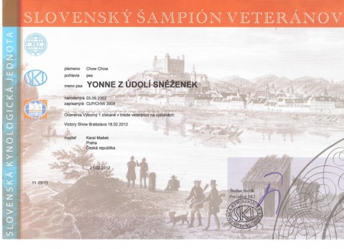 slovensky-sampion-veteranu.jpg